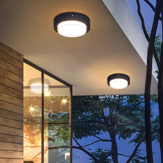 Outdoor Roofing Waterproof Ceiling Lamp